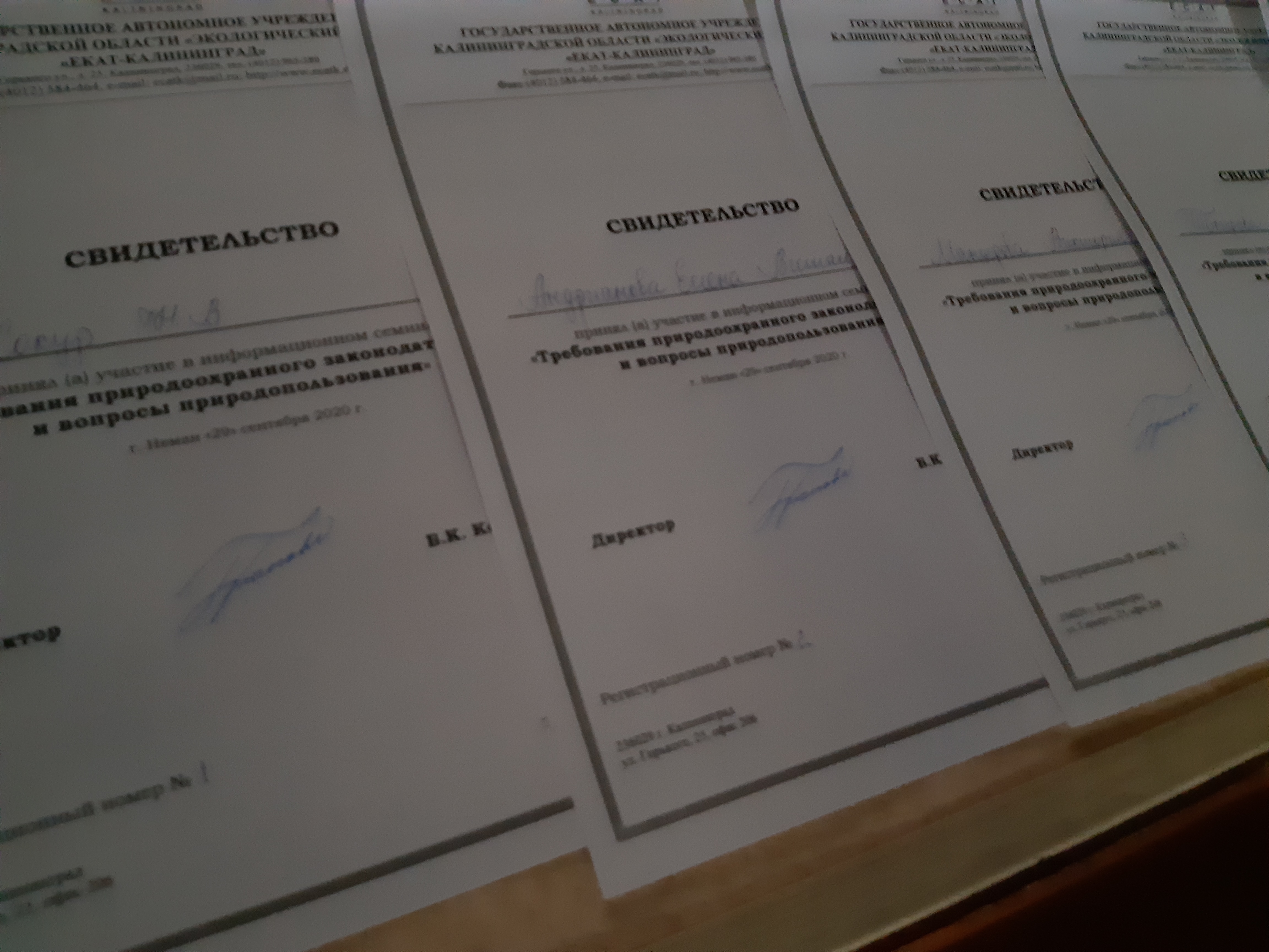 Отчет по информационному семинару в городе Немане муниципального образования «Неманский городской округ» Отчет по информационному семинару в городе Немане муниципального образования «Неманский городской округ»