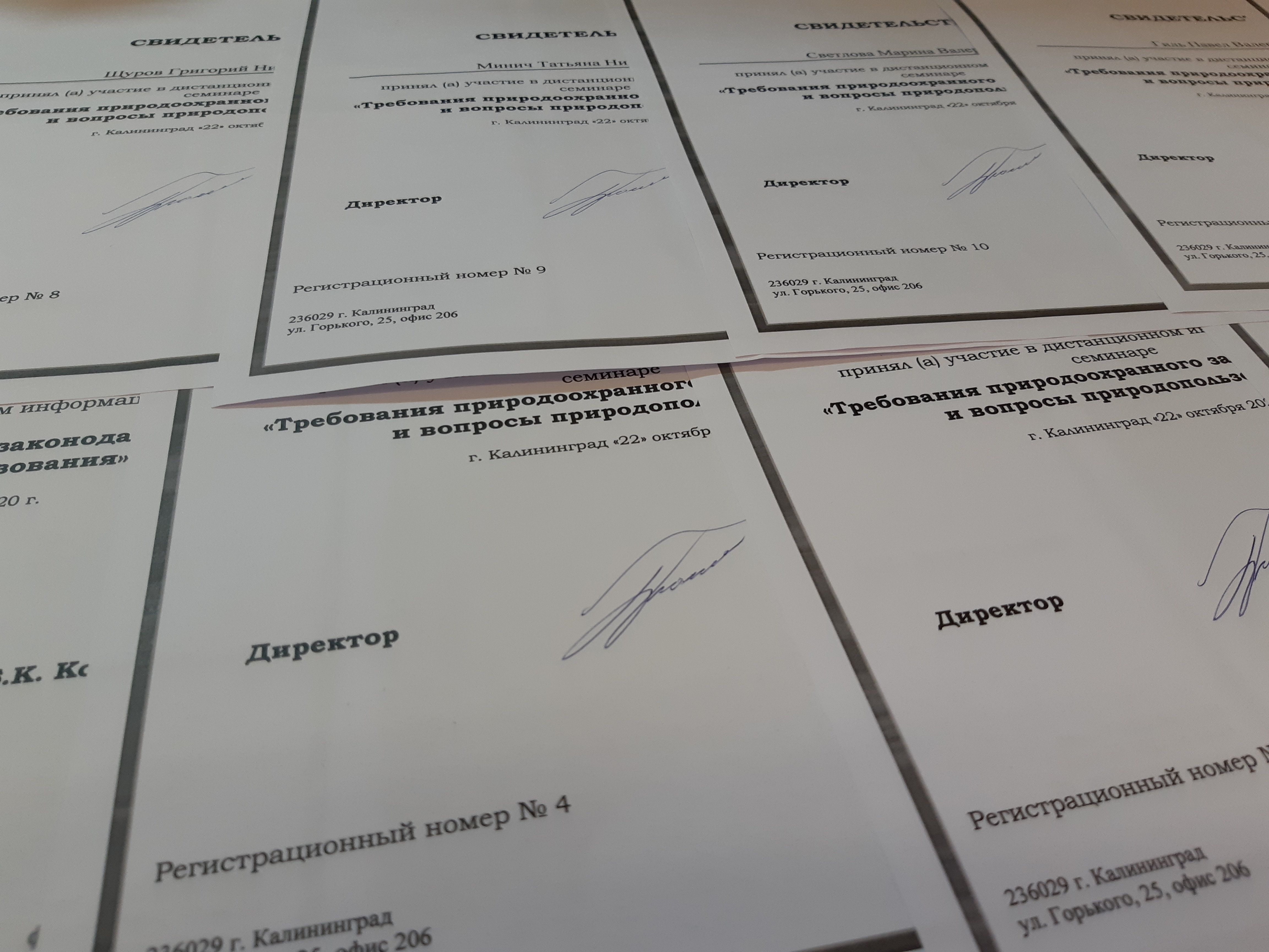 Отчет по информационному семинару в дистанционной форме в муниципальном образовании «Озерский городской округ» Отчет по информационному семинару в дистанционной форме в муниципальном образовании «Озерский городской округ»