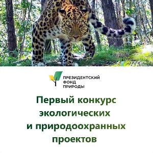 Стартовал конкурс экологических и природоохранных проектов