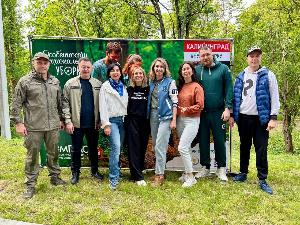 День эколога и Особенности национальной уборки 